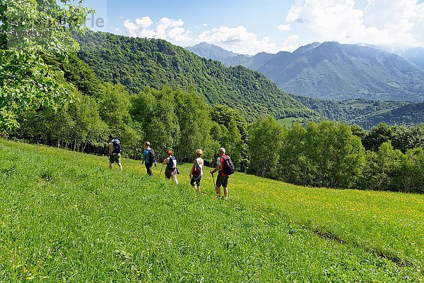 Fünf reife Wanderer  die entlang des Bergweges wandern  Grigna  Lecco  Lombardei  Italien