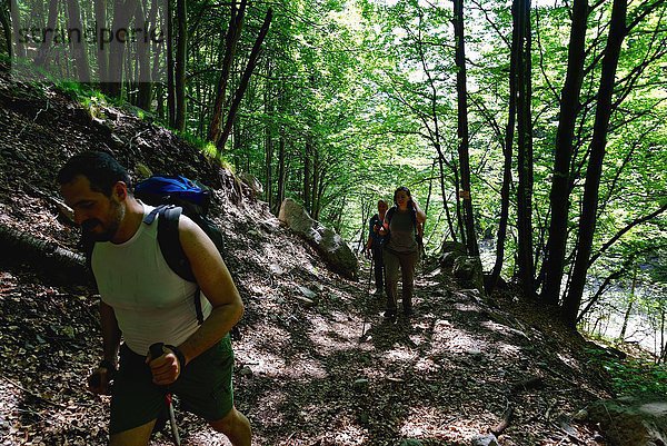 Reife Wandererinnen und Wanderer beim Wandern durch den Wald