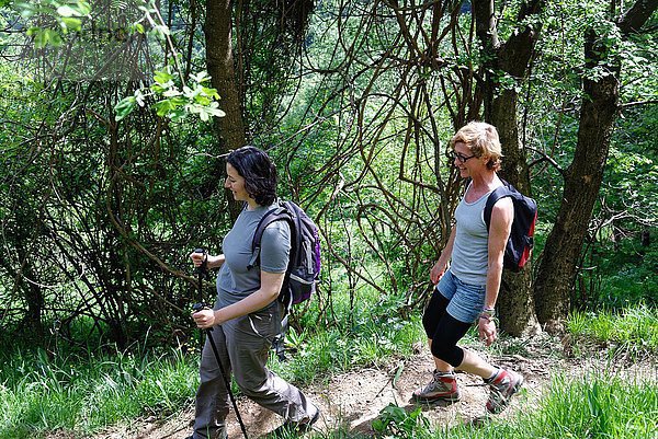 Zwei erwachsene Wandererinnen auf dem Waldweg