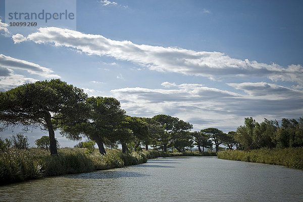 Flusslandschaft  Canal de Midi  Frankreich  Europa