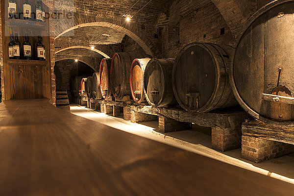 Weinkeller mit alten Holzfässern  Abbazia di Monte Oliveto Maggiore  Toskana  Italien  Europa