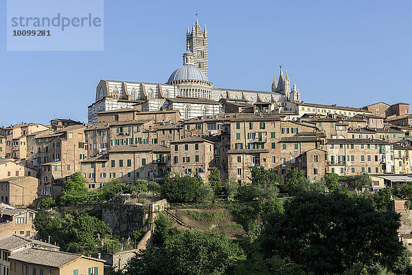 Ausblick auf die Stadt mit Dom  Duomo  Siena  Toskana  Italien  Europa