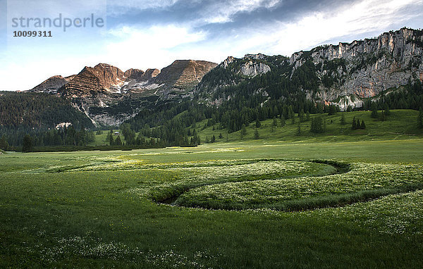 Morgenstimmung auf der Wurzeralm  Warscheneck  Oberösterreich  Österreich  Europa