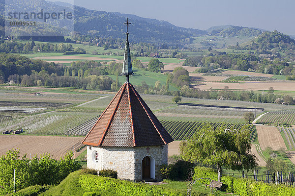 Ölbergkapelle  bei Ehrenstetten  Baden  Markgräfler Land  Schwarzwald  Baden-Württemberg  Deutschland  Europa