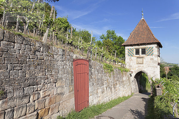 Häuschen in den Weinbergen  Neckarhaldenweg  Esslingen  Baden-Württemberg  Deutschland  Europa