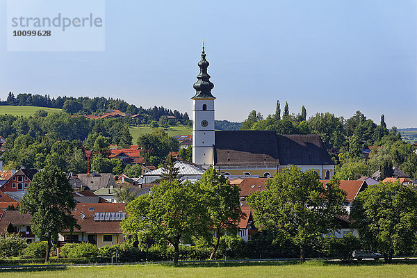 Ortsansicht mit Pfarrkirche St Martin  Waging am See  Chiemgau  Oberbayern  Bayern  Deutschland  Europa