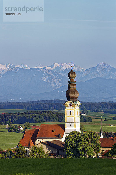 Pfarrkirche Mariä Himmelfahrt  hinten die Berchtesgadener Alpen  Schnaitsee  Chiemgau  Oberbayern  Bayern  Deutschland  Europa