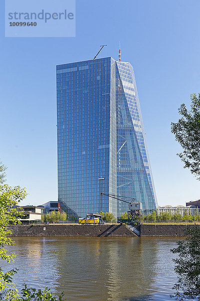 EZB  Neue Europäische Zentralbank am Main  Frankfurt am Main  Hessen  Deutschland  Europa