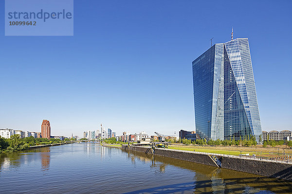 Neue Europäische Zentralbank EZB mit Skyline am Main  Frankfurt am Main  Hessen  Deutschland  Europa
