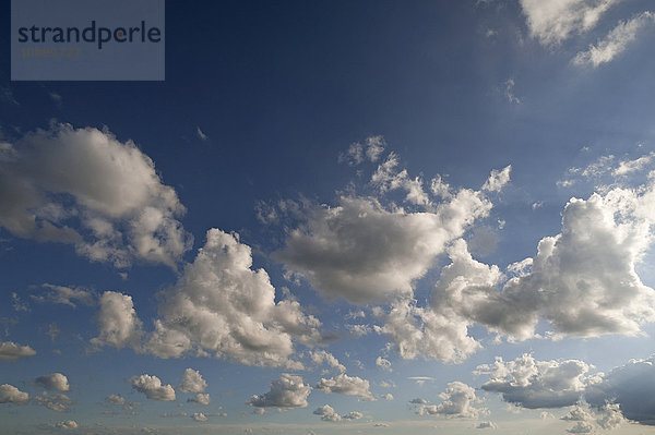 Schönwetterwolken  Cumulus humilis  Deutschland  Europa