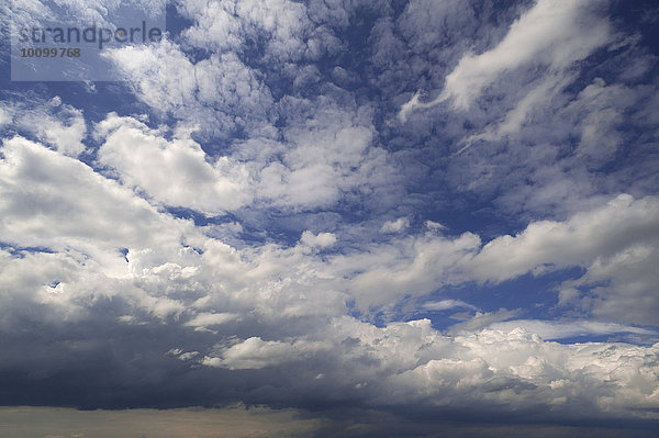 Aufziehende Regenwolken  Nimbostratus  Bayern  Deutschland  Europa