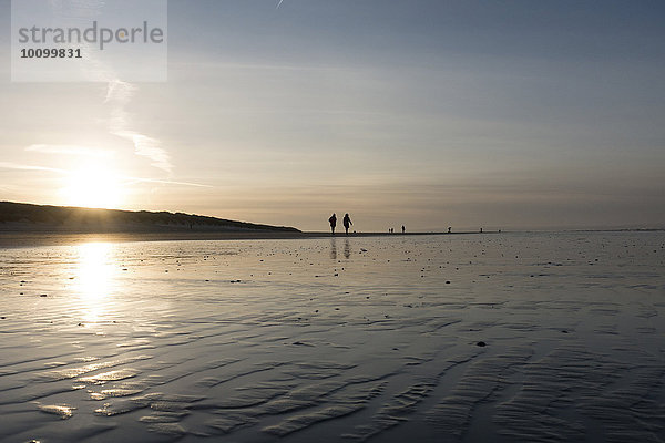 Spaziergänger bei Sonnenuntergang am Strand der Nordseeinsel  Langeoog  Ostfriesland  Niedersachsen  Deutschland  Europa