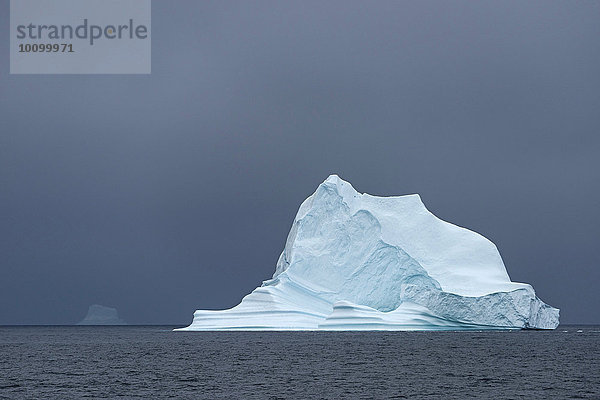 Eisberg schwimmt im Wasser  Scoresbysund  Ostgrönland  Grönland  Nordamerika