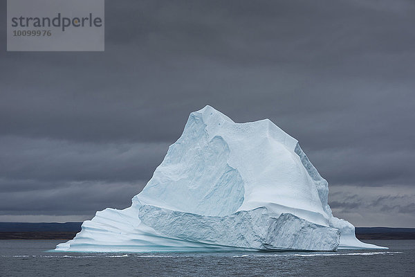 Eisberg schwimmt im Wasser  Scoresbysund  Ostgrönland  Grönland  Nordamerika