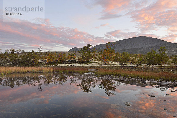Morgenrot spiegelt sich in einem kleinen See  Herbstlandschaft im Fjell  Rondane-Nationalpark  Norwegen  Europa
