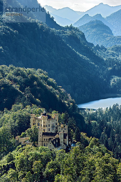 Schloss Hohenschwangau  Schwansee  hinten Tannheimer Berge  Schwangau  Königswinkel  Ostallgäu  Allgäu  Schwaben  Bayern  Deutschland  Europa