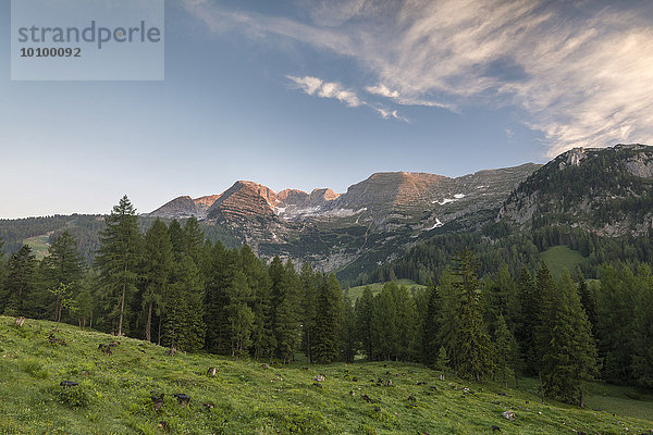 Wurzeralm bei Sonnenaufgang  Berg Warscheneck  Region Pyhrn-Priel  auch Pyhrn-Eisenwurzen  Traunviertel  Oberösterreich  Österreich  Europa