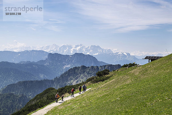 Ausblick vom Hochfelln nach Süden mit Hörndlwand und Loferer Steinberge  Chiemgauer Alpen  Chiemgau  Oberbayern  Bayern  Deutschland  Europa