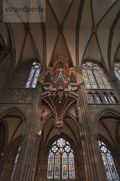 Langhausorgel mit ihrem erhaltenen gotischen Gehäuse im Straßburger Münster  Straßburg  Elsass  Frankreich  Europa