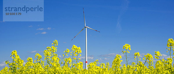 Windpark Tomerdingen  Schwäbische Alb  Baden-Württemberg  Deutschland  Europa