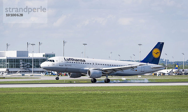 'Lufthansa-Airbus ''Fulda''  Typ A320-214  Registrierungsnummer D-AIZF  landet auf dem Flughafen München  München  Oberbayern  Bayern  Deutschland  Europa'