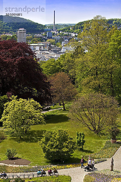 Der Botanische Garten im Frühling  Wuppertal  Bergisches Land  Nordrhein-Westfalen  Deutschland  Europa