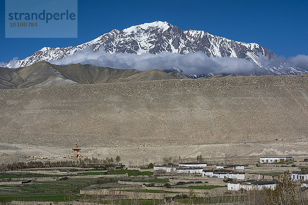 Kleine  mit einer Steinmauer umgebene Felder und Wohnhäuser im Dorf Tsarang vor schneebedeckten Bergen  ehemaliges Königreich Mustang  Nepal  Asien