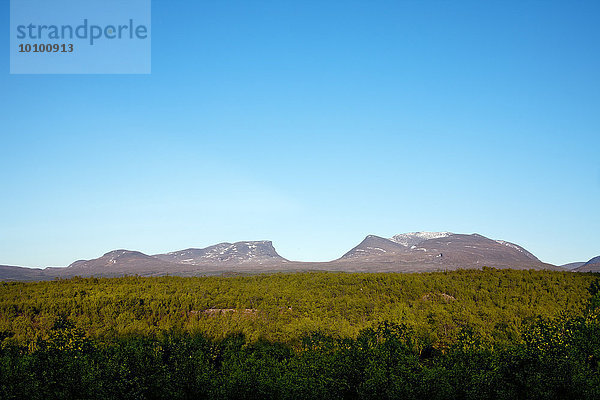 Abisko Nationalpark  Lappland  Schweden  Europa