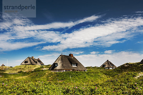 Friesenhäuser in den Dünen  Hörnum  Sylt  Schleswig-Holstein  Deutschland  Europa