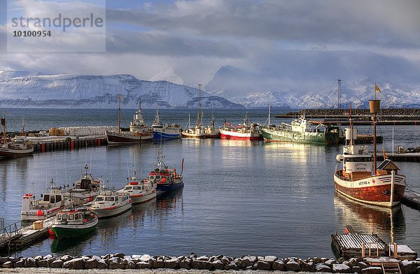 Hafen  Husavik  Island  Europa