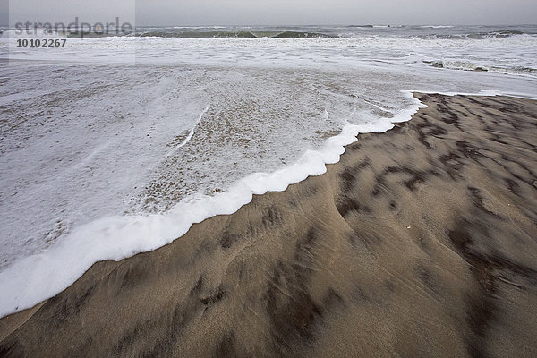 Wellen schlagen über einen Sandstrand.