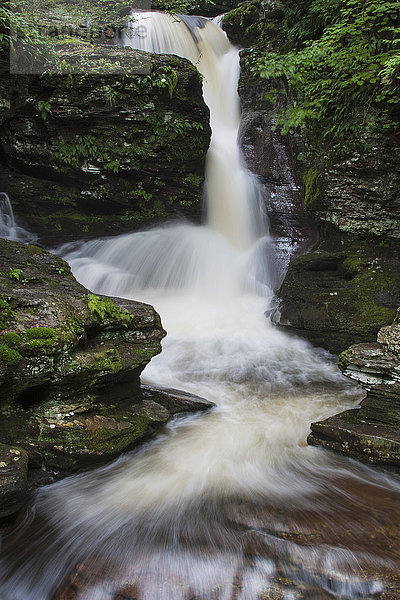 Der Adams Falls Wasserfall im Ricketts Glen State Park  Pennsylvania.