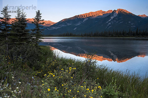 Berge  die sich in einem See und einer Wiese mit Wildblumen in den kanadischen Rocky Mountains spiegeln.