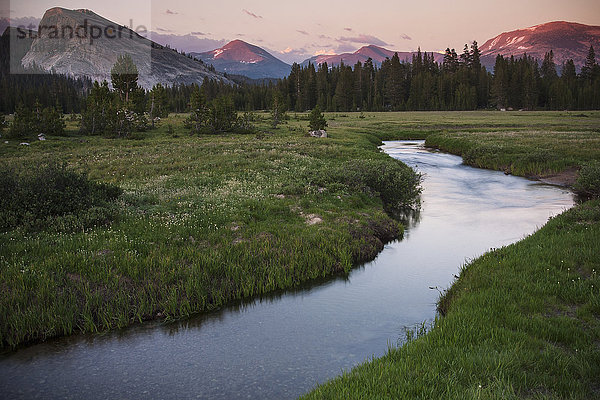 Blick auf einen Fluss  der in der Abenddämmerung durch die Tuolumne Meadows in Kalifornien fließt.