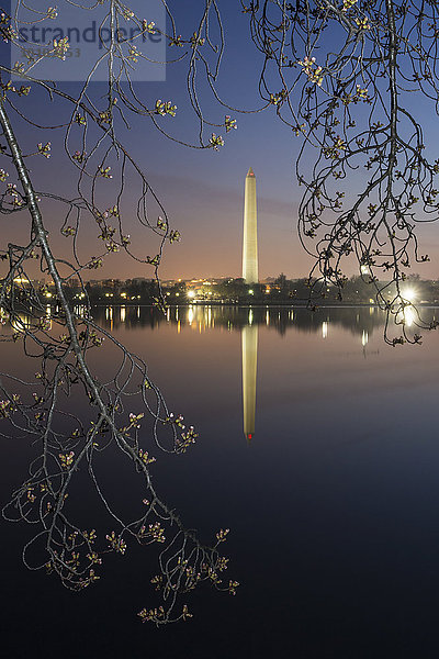 Das Washington Monument in der Morgendämmerung spiegelt sich im See.