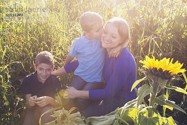 Mutter und junge Söhne verbringen gemeinsam Zeit auf dem Feld der Sonnenblumen.