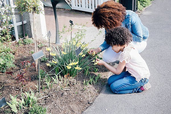 Seitenansicht der knienden Mutter und Tochter mit Blick auf die Pflanze im Blumenbeet