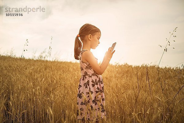 Mädchen konzentriert sich auf Smartphone Touchscreen im Weizenfeld