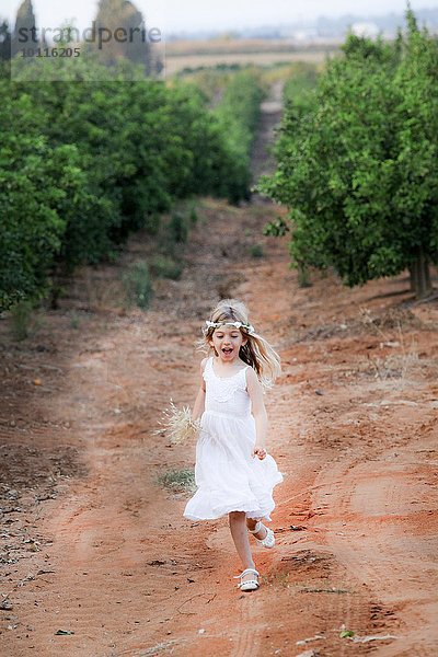 Junges Mädchen im Obstgarten  Israel