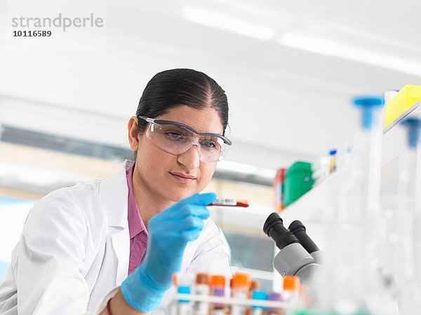 Junge Wissenschaftlerin beim Betrachten der Blutröhre bei der klinischen Untersuchung von medizinischen Proben im Labor