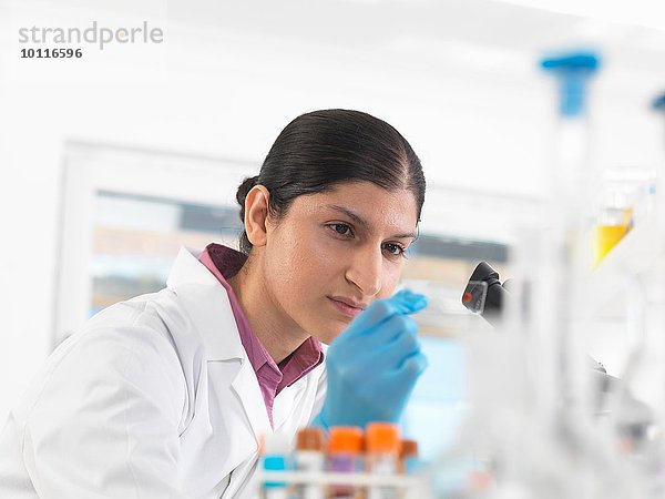 Junge Wissenschaftlerin beim Betrachten von Objektträgern während der klinischen Prüfung medizinischer Proben im Labor