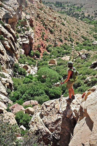 Hochwinkel-Rückansicht des Wanderers mit aussichtsreichen Wanderstöcken  First Creek  Las Vegas  Nevada  USA