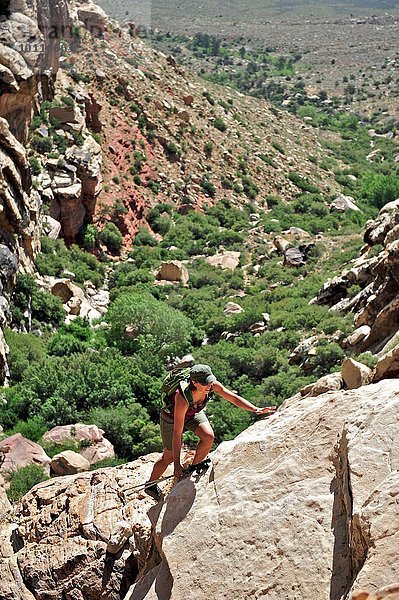 Hochwinkelansicht des Wanderers mit den Händen auf Felsen  First Creek  Las Vegas  Nevada  USA