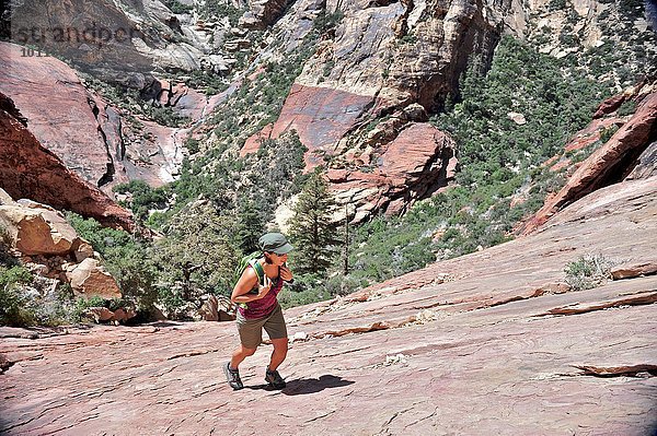 Hochwinkelansicht des Wanderers beim Aufstieg zum Fels  First Creek  Las Vegas  Nevada  USA