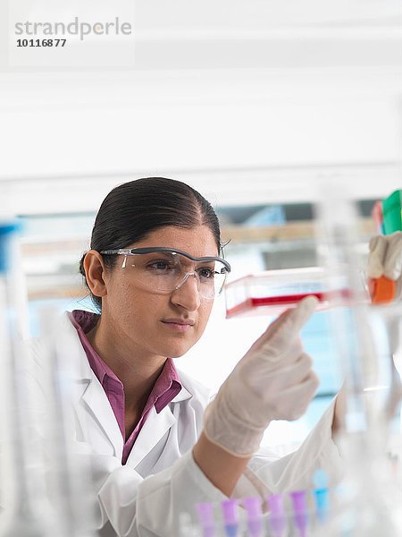 Biologin im Labor  die einen Kolben mit Stammzellen hält.