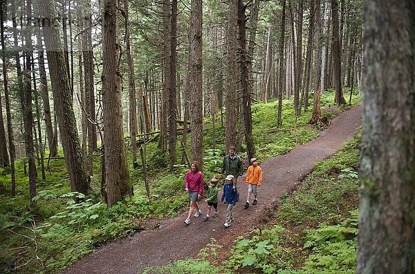 Familie erkunden Wälder  Winner Creek  Alyeska Resort  Turnagain Arm  Mt. Alyeska  Girdwood  Alaska  USA