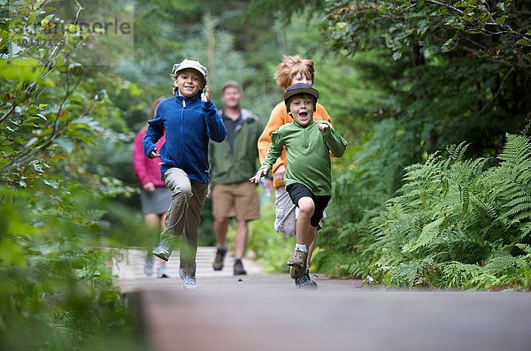 Familie erkunden Wälder  Winner Creek  Alyeska Resort  Turnagain Arm  Mt. Alyeska  Girdwood  Alaska  USA