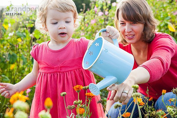 Mittlere erwachsene Mutter und Kleinkind Tochter gießen Blumenfeld