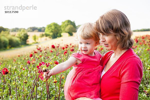 Mittlere erwachsene Mutter und Kleinkind-Tochter beim Betrachten von roten Blumen im Blumenfeld