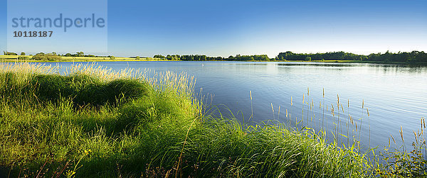 Neuer Teich im Plothener Teichgebiet  Naturpark Thüringer Schiefergebirge Obere Saale  Saale-Orla-Kreis  Thüringen  Deutschland  Europa